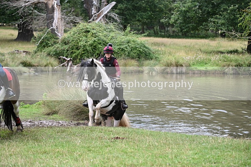 WJ7_5005 - Time at Water 14:00 to 14:53