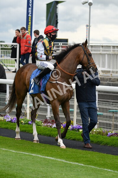 yr22052021r1-15 - Race 1 2.05pm William Hill Pick Your Places Stakes