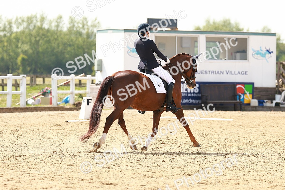 SBM_002939 - Class 13 - Medium 5