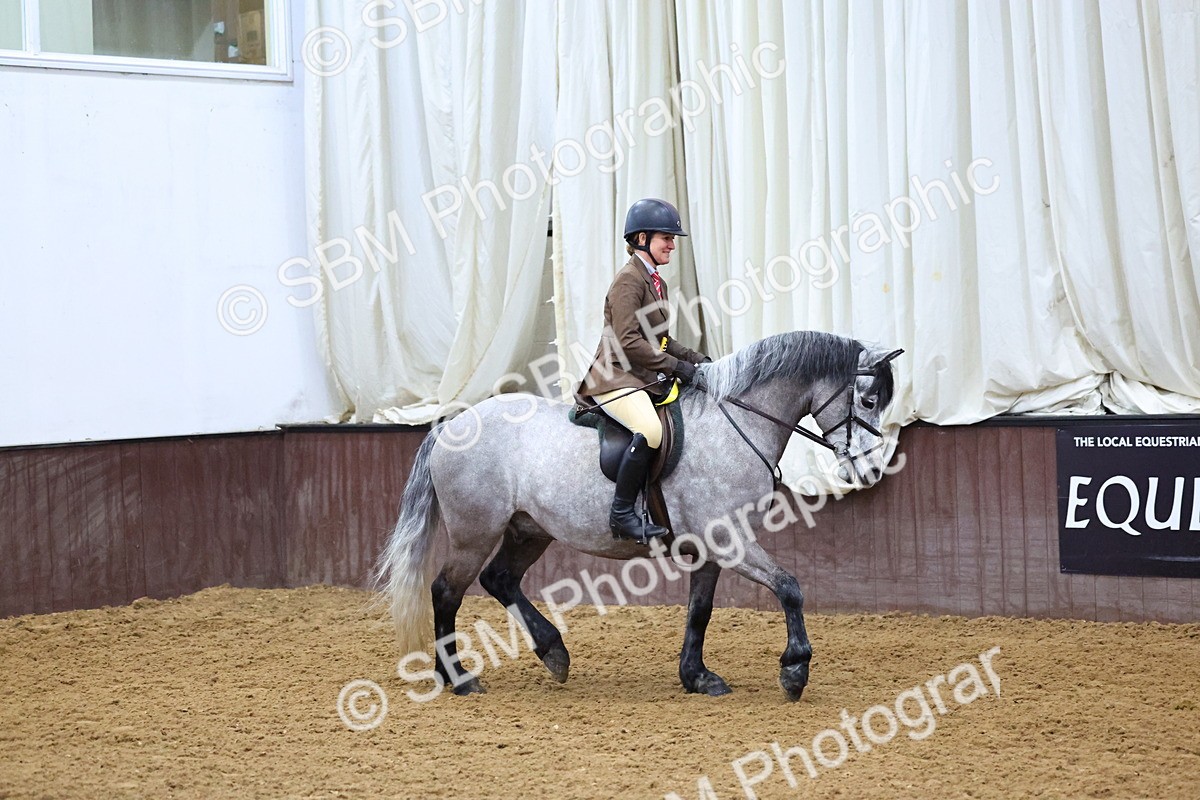 SBM_003709 - Class 37 - 80cm Training Stakes