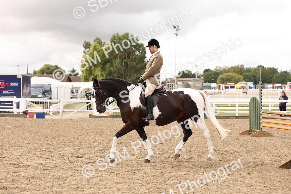 SBM_02824 - Class 53 - Ridden Competition Horse/Pony