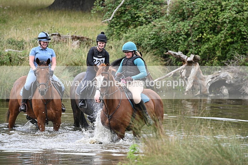 WJ7_3465 - Time at Water 12:15 to 12:50