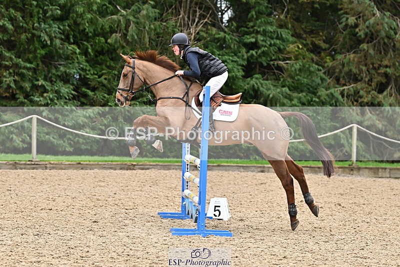 250201A-121545-00631 - Cls 02 Local Horse 100cm