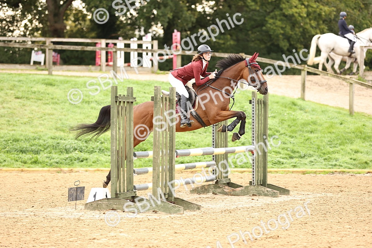 SBM_58331 - J41 - Grand Tour Horse & Pony 95cm