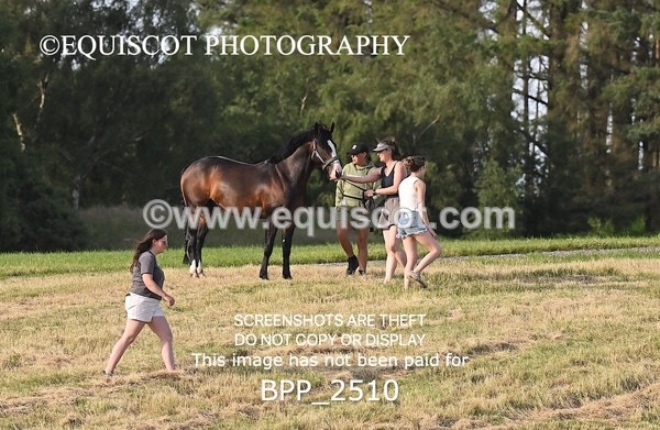 BPP_2510 - CANDIDS
