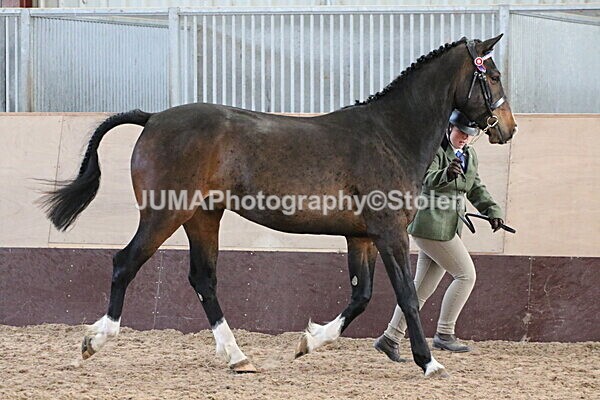 SIAL9680 - Indoor Classes