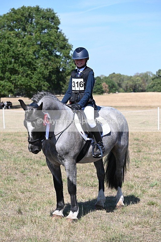 WJ6_8744 - Class 37b Best Loan Pony In-hand