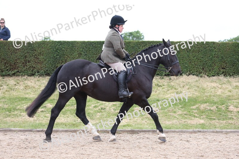 20250524-1343 - Class 16 - Hunter and Cob