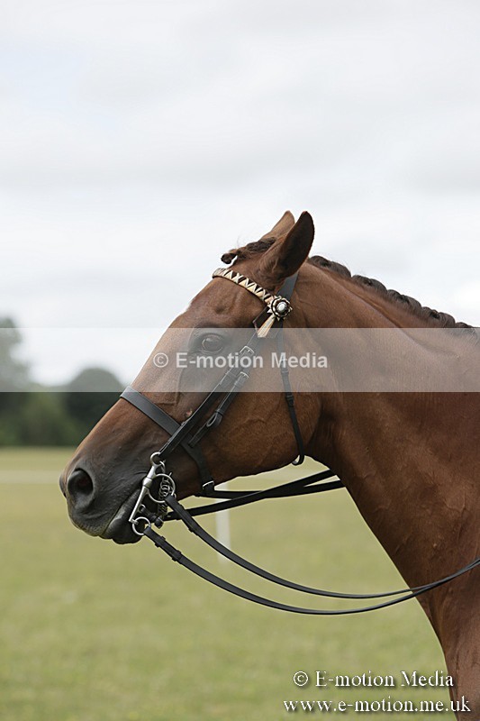 BVR160717-2451 - Side Saddle Classes 16/07/17