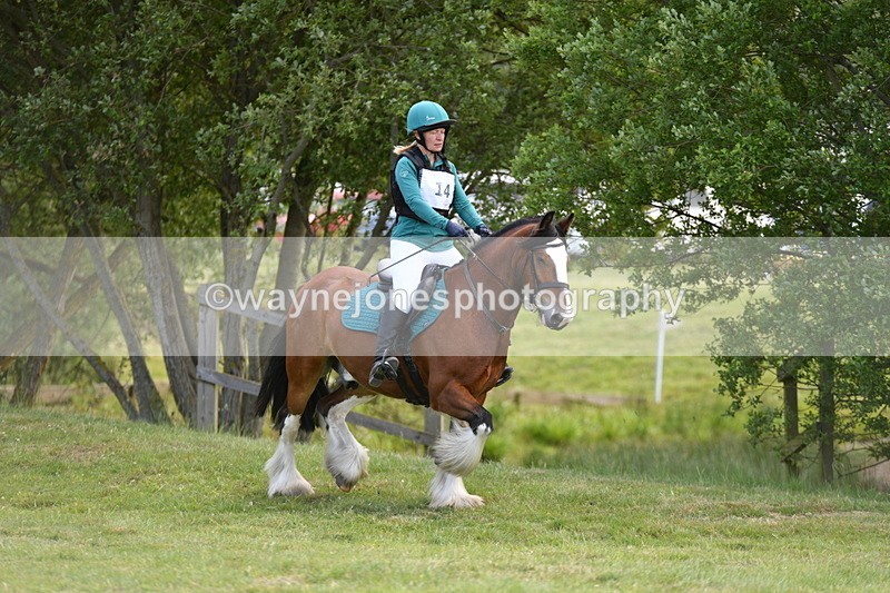 WJ5_2649 - Class 2 40cm