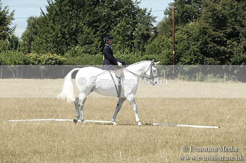 _PJP5955 - Dressage Classes BVRC Show 2018