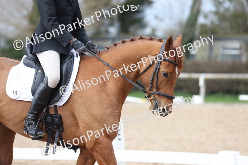 20260301-0521 - Class 4 - Novice 5