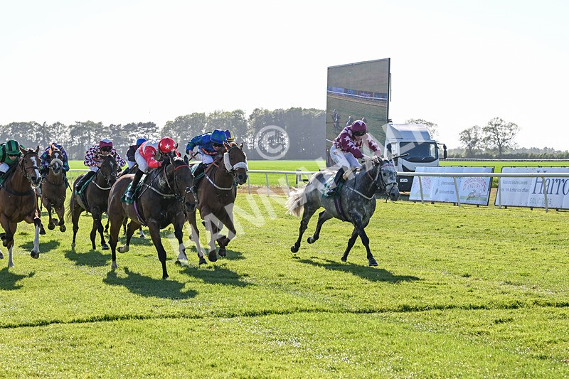 170525-Race 8-So Grateful-9006 - Race 8