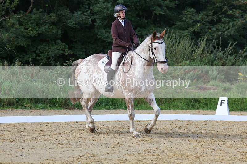 3E7A2412 - Class 1: Intro 4 2024 section A