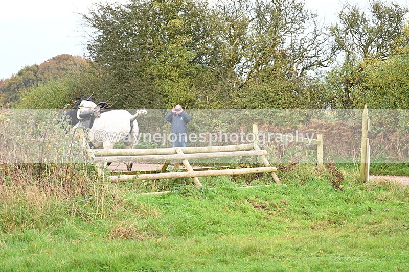 WJ7_0359 - Camera 1 & Last fence