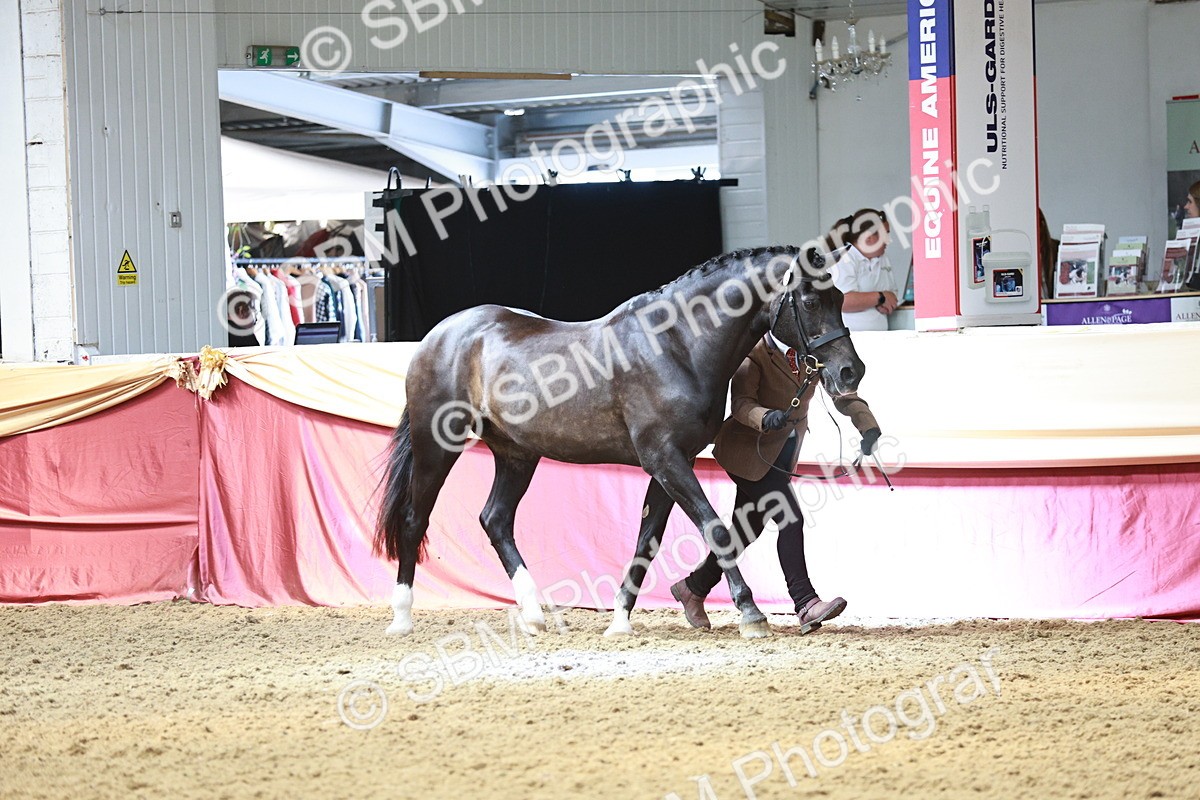 SBM_04746 - Class 7R - Regional IH Diamond