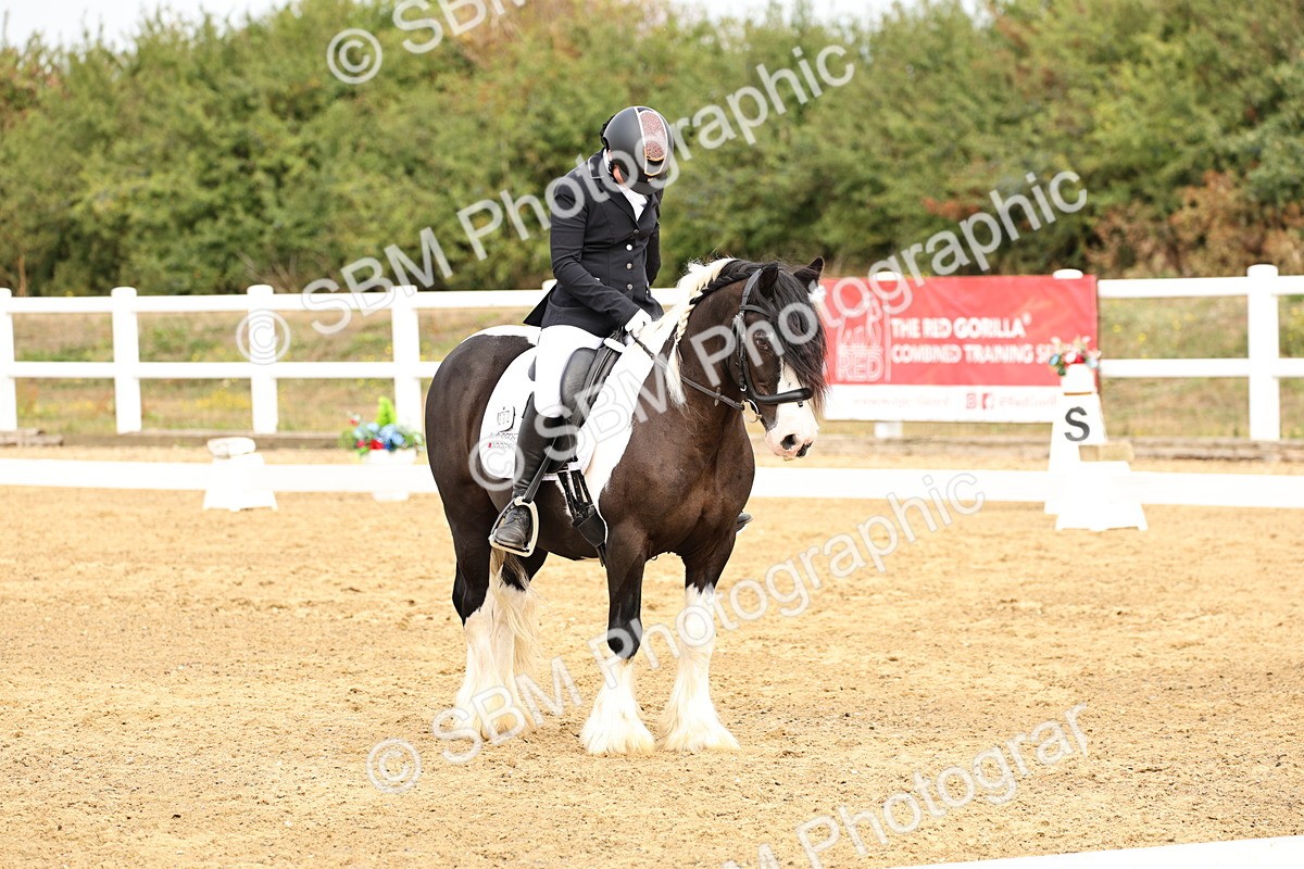 SBM_012356 - Class 2 - Prelim 5