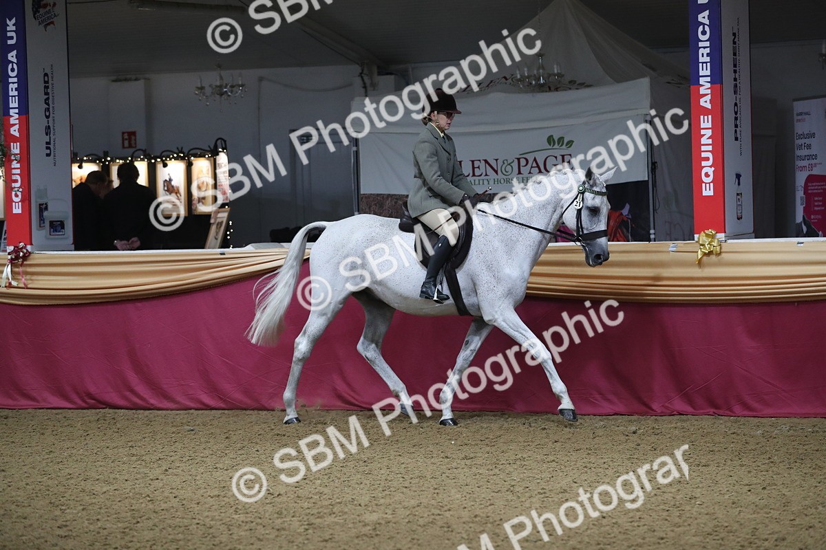 SBM_10304 - Class 102 Equitation (best rider) Adult