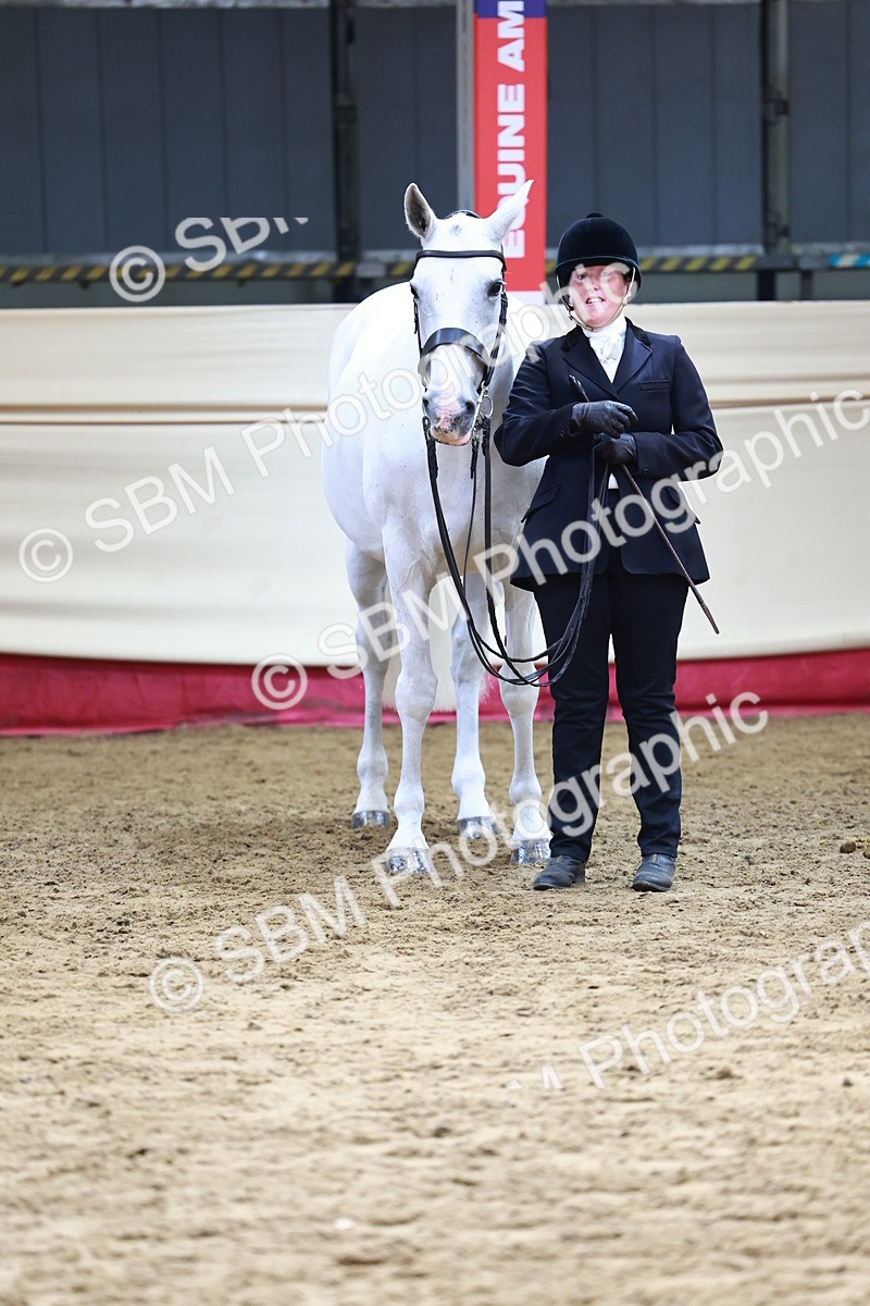 SBM_23123 - Class 903 - Supreme Final - IH Pre Vet