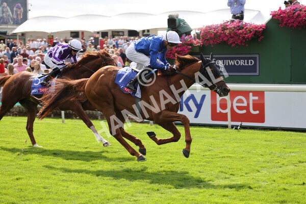 yr18082021r3-70 - Race 3 3.00pm Sky Bet Great Voltigeur Stakes