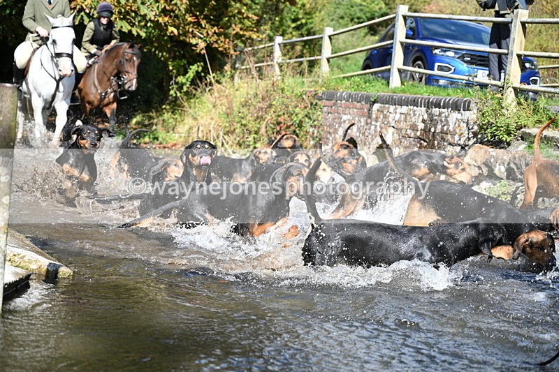 WJ7_5973 - Hounds Water Crossing