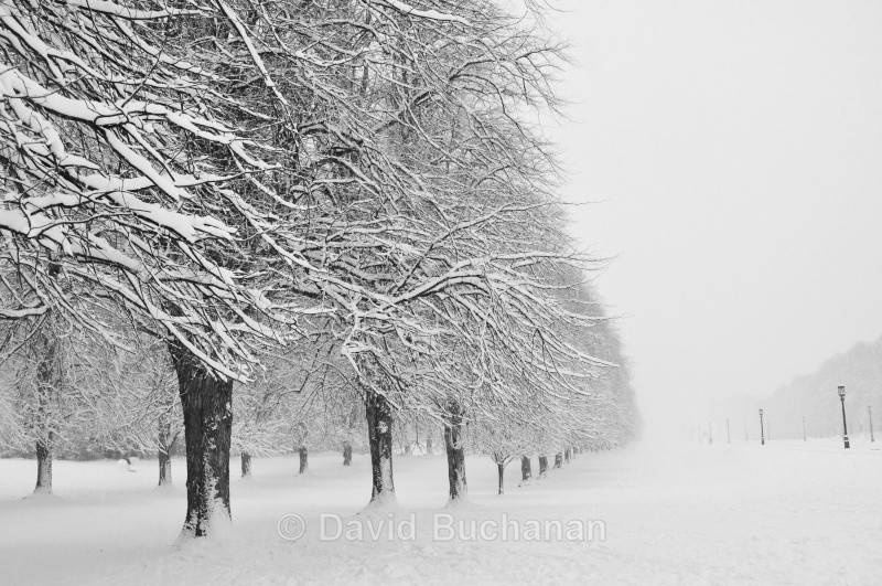 Whiteout - Urban Life.