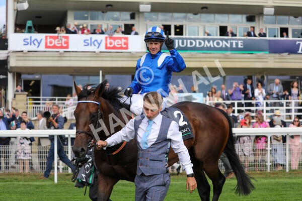 yr17082022r4-114 - Race 4 3.35pm Juddmonte International Stakes (British Champions Series Race)