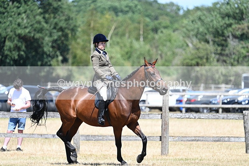 WJ7_3145 - Class 7 Riding Club Show Horse