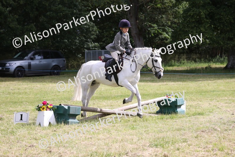 20260614-0537 - Class 20 - Beginners Working Hunter Pony