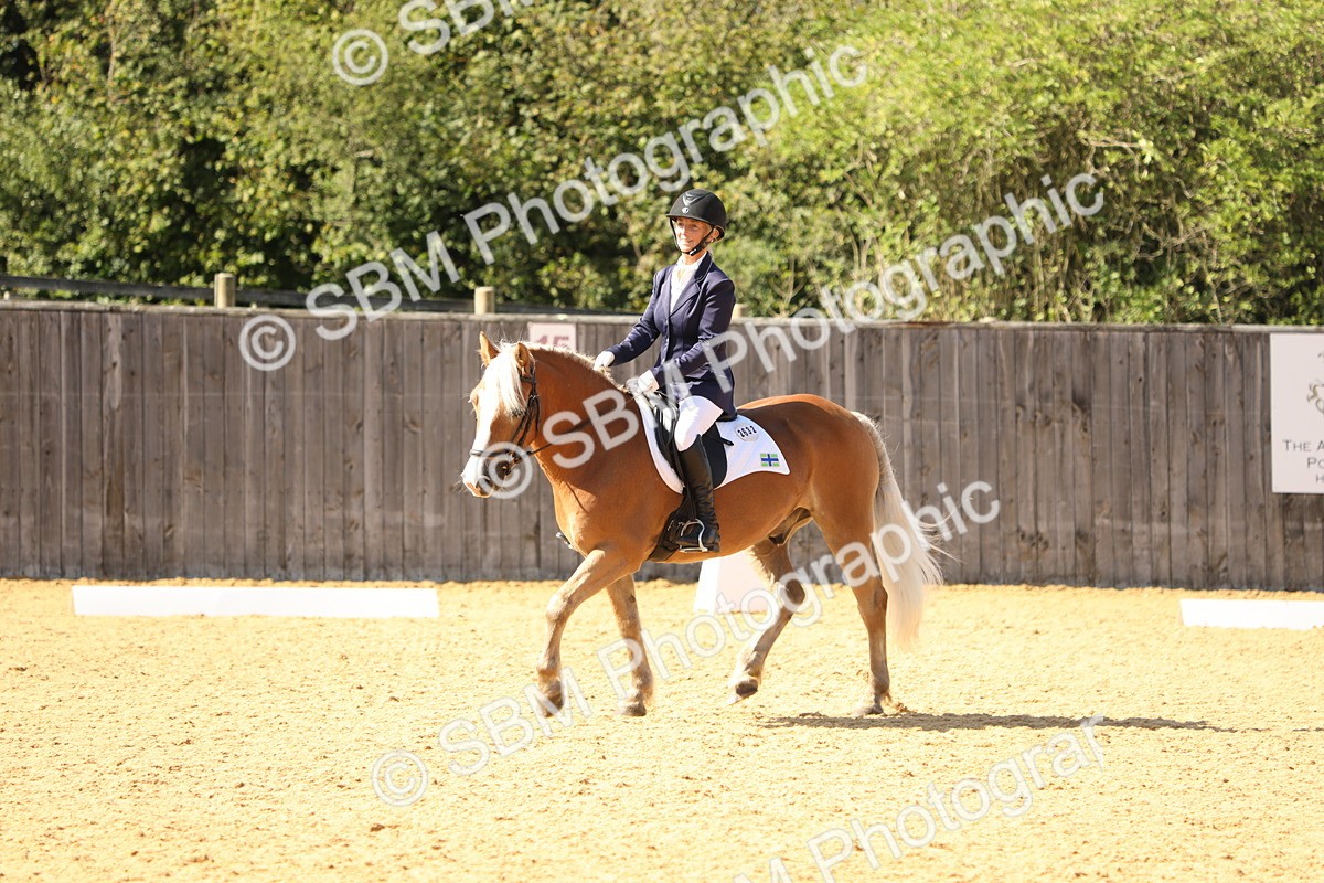 SBM_22382 - D17 - Grand Tour Championship - Novice 27