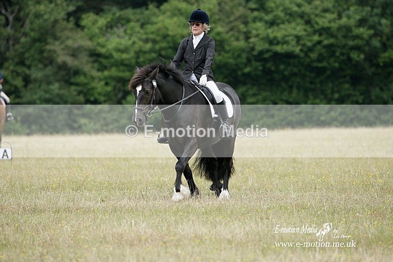 BVRC 030721 53 - Bourne Valley Riding Club Dressage 03/07/21