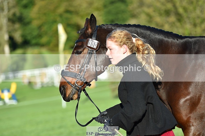 231022-092828-21815 - 685-ADRENALIN.II-Cosima.Atkinson-TrotUp+SJ