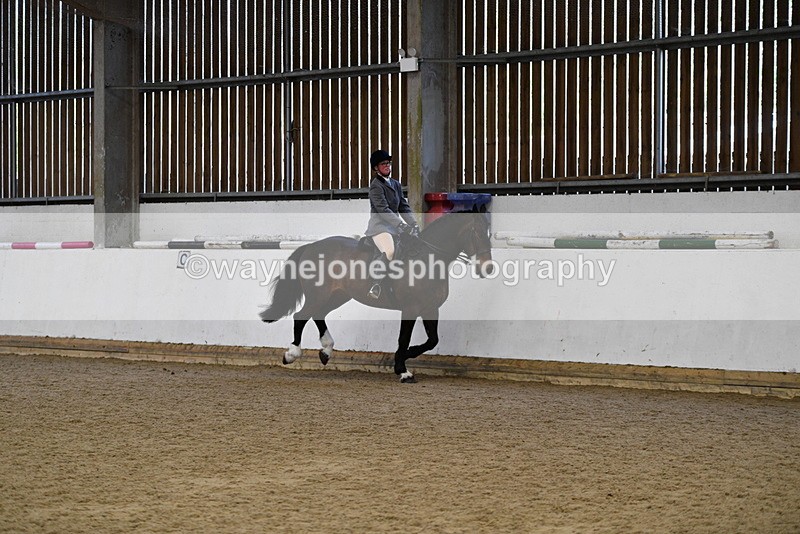 WJ5_7727 - Class 13 Ridden Part Breed