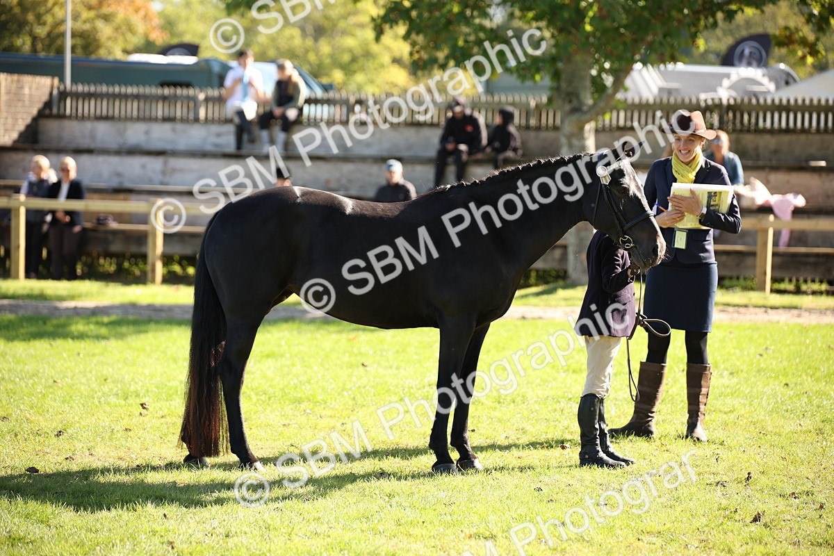 SBM_36613 - S10 - Best In Hand Horse & Pony