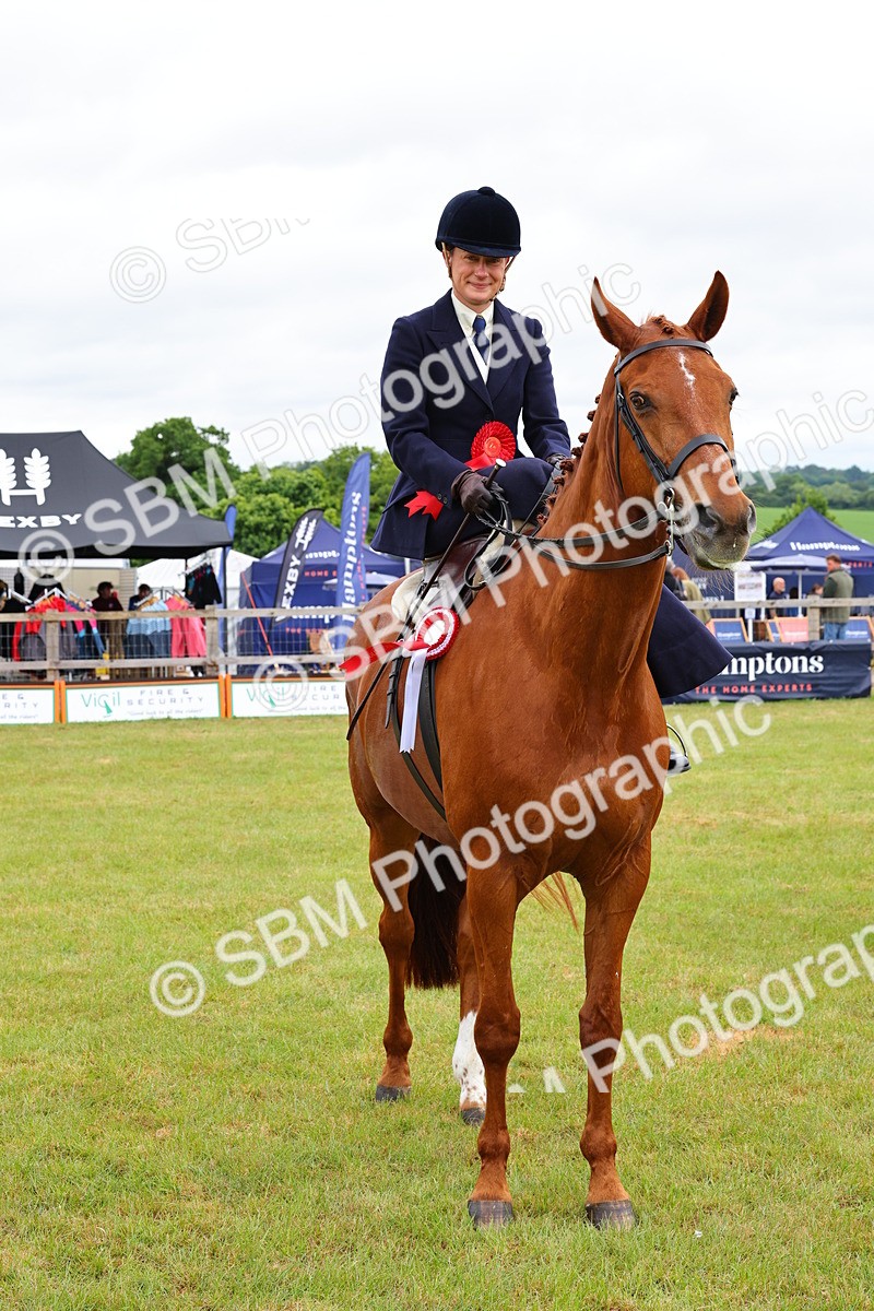 SBM_02777 - Class 9-11 Side Saddle including LIHS Rising Star Ladies Show Horse