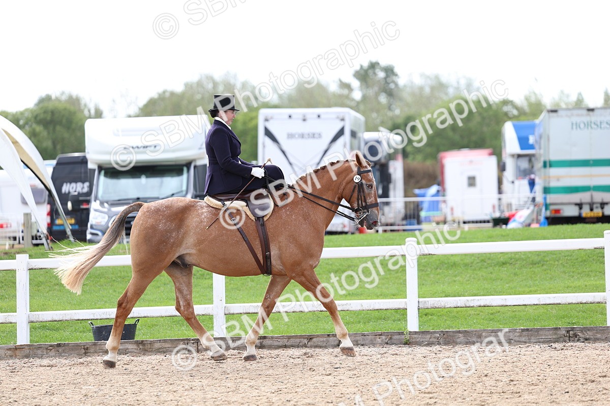 SBM_03186 - Class 22 - SSA Equitation (any age)