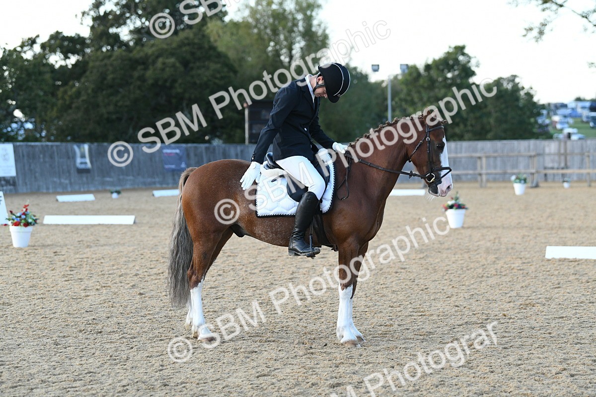 SBM_31013 - D16 - Small Tour Championship - Novice 28