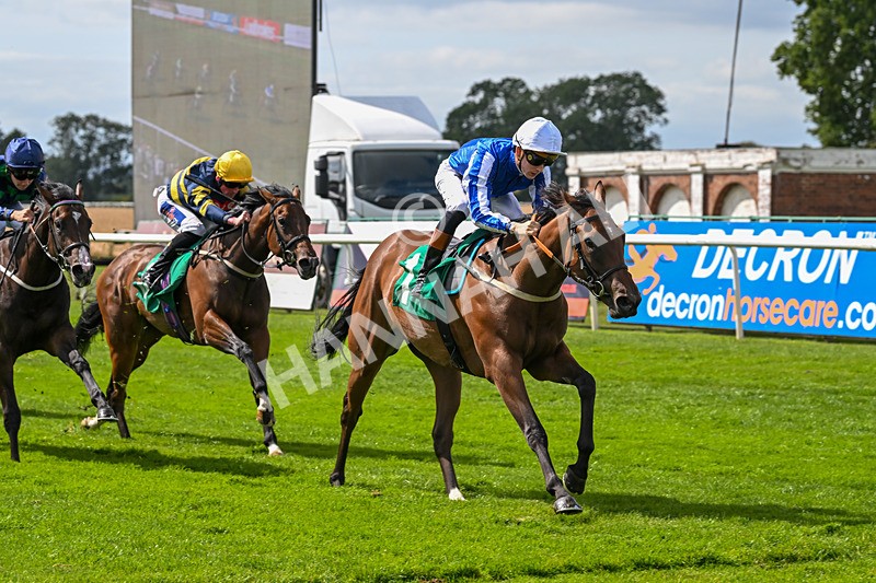 080825-Race 2-Daneh Of Dandy-2001 - Race 2