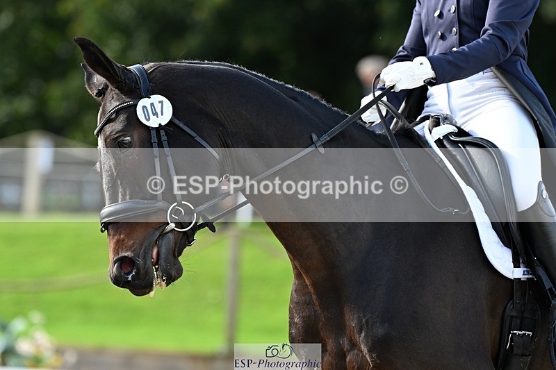 231019-124634-02831 - 047-FIREBALL.III-Oda.Christine.Lippestad-DR