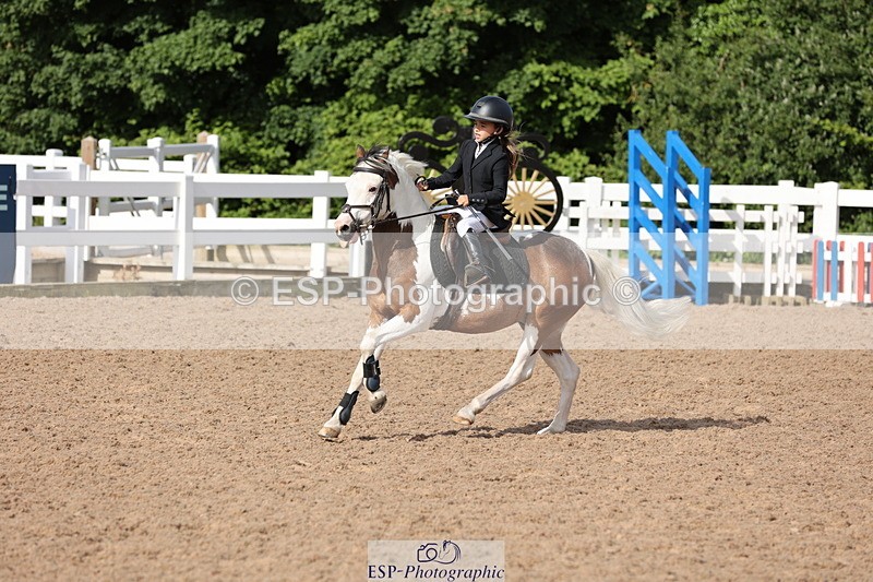 240629A-090054-02810 - Cls 16 British Novice and 80cm Open