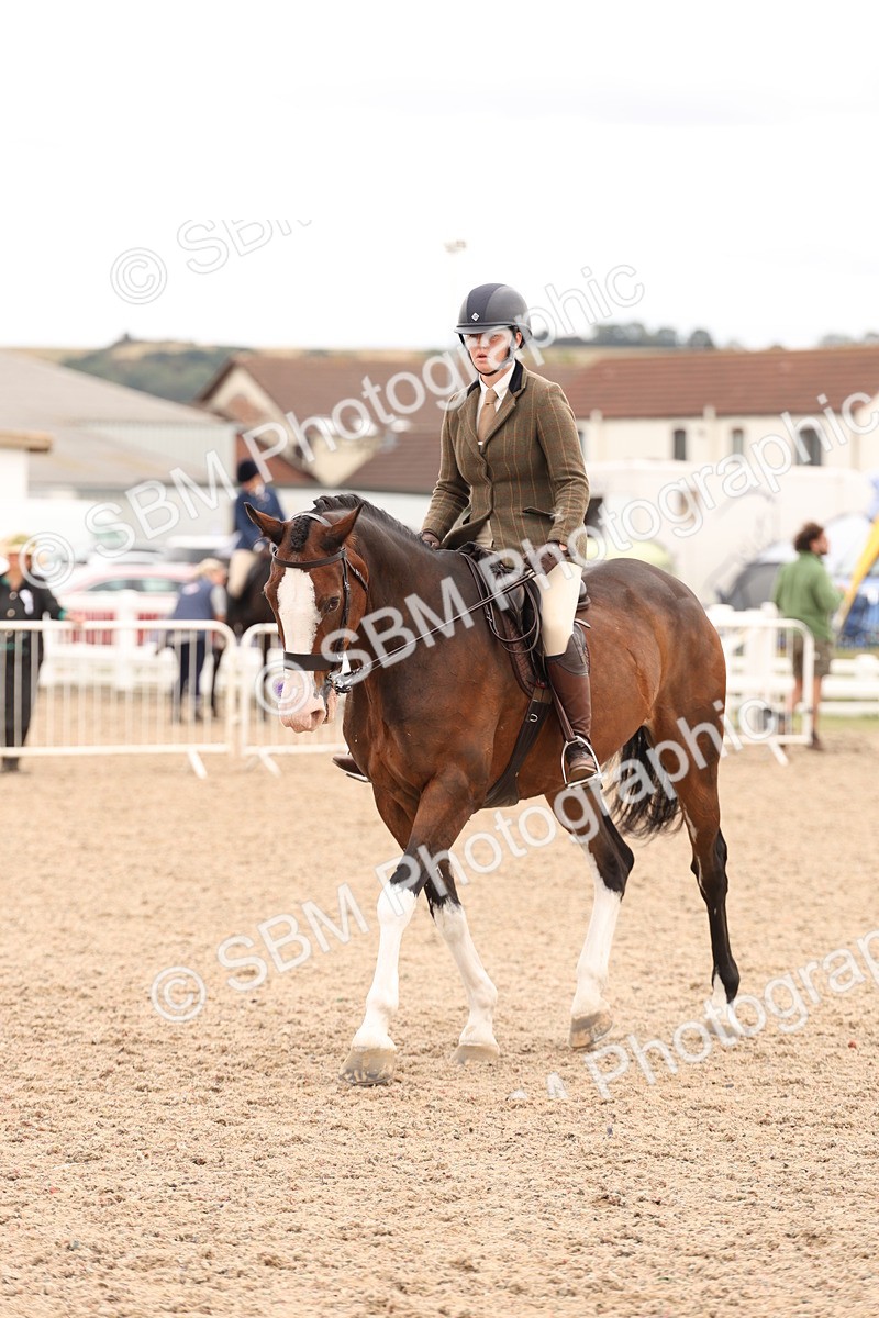 SBM_17231 - Class 213 - Ridden Hunter - Large