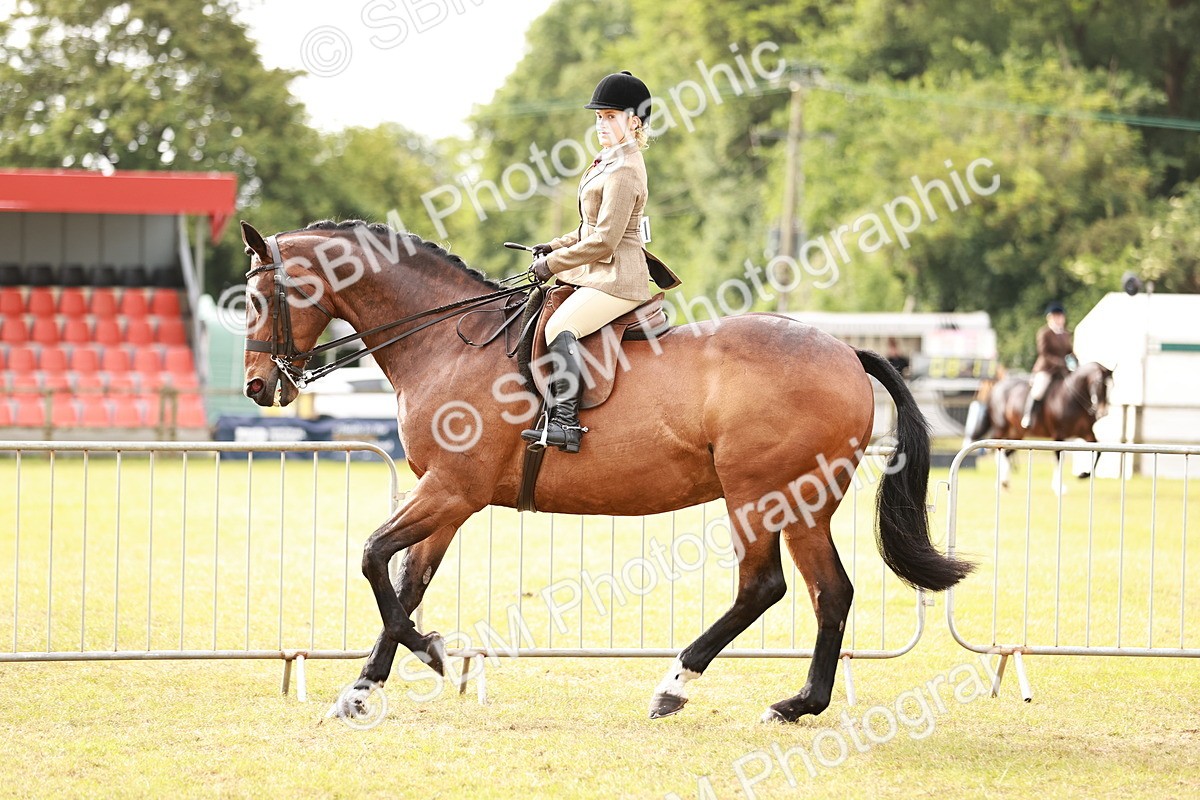 SBM_10862 - Class 81-84 - RIHS Ridden hunters Inc Ladies Hunter