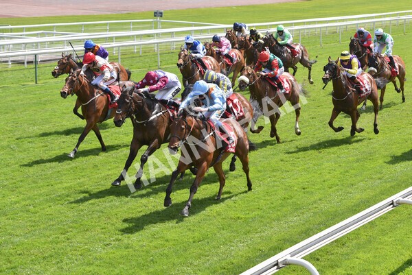 yr13052021r1-34 - Race 1 1.40pm The Matchbook Betting Exchange Stakes