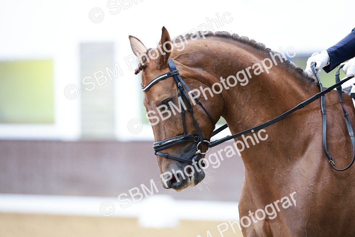 SBM_005705 - Class 3 - Medium 6 - 14.40-15.52