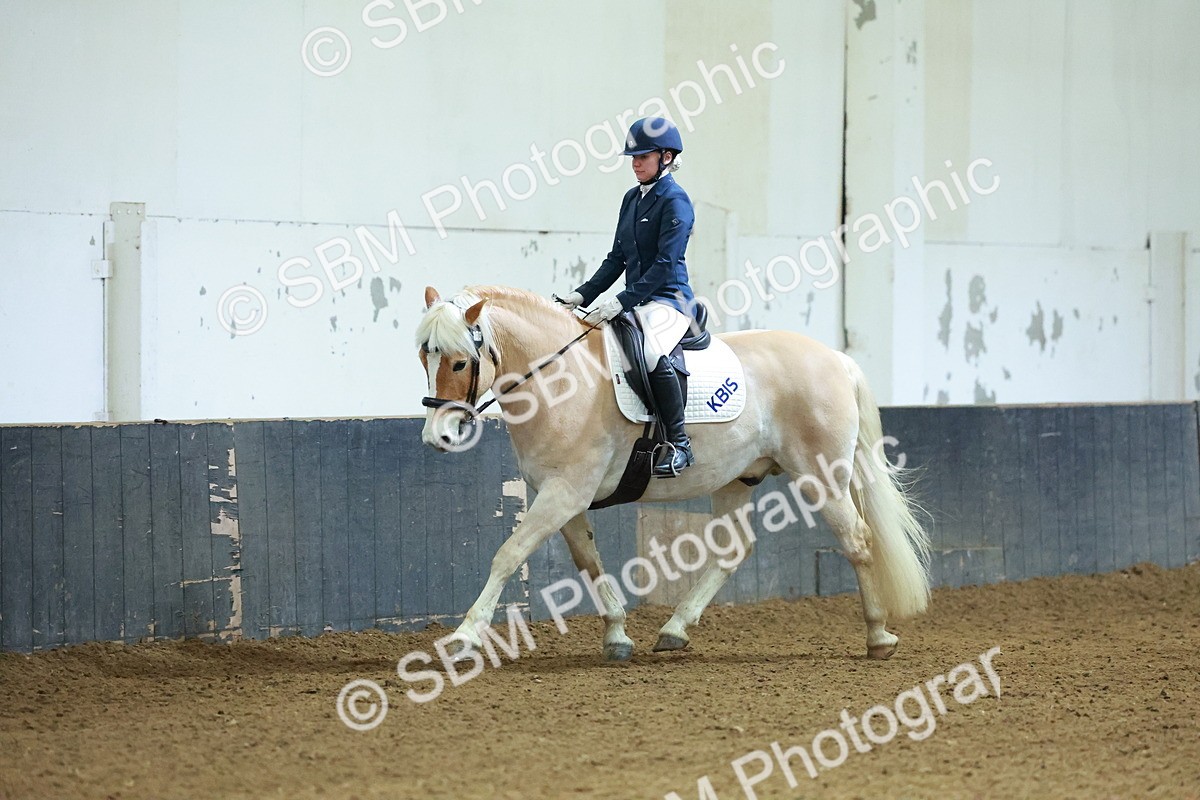 SBM_003907 - Novice 2