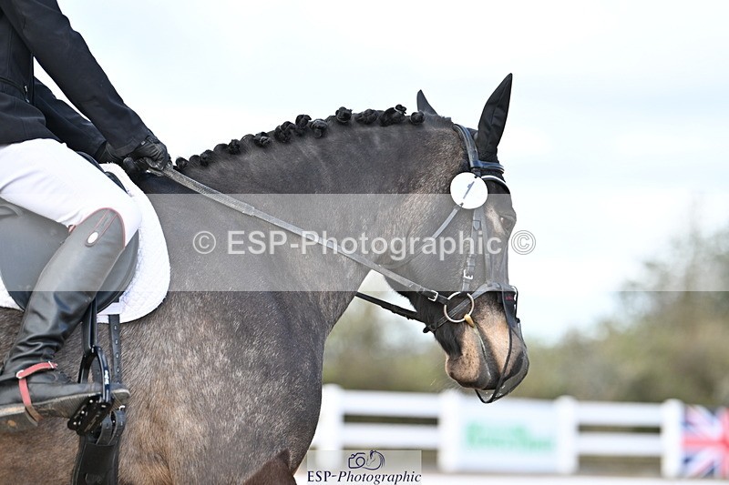 240324A-110432-01134 - Novice 34