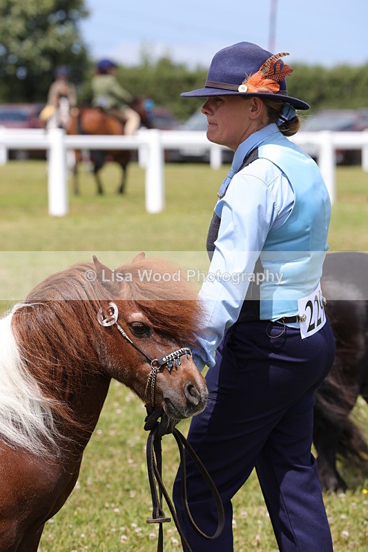 1X9A4796 - Class 35: Veteran In Hand