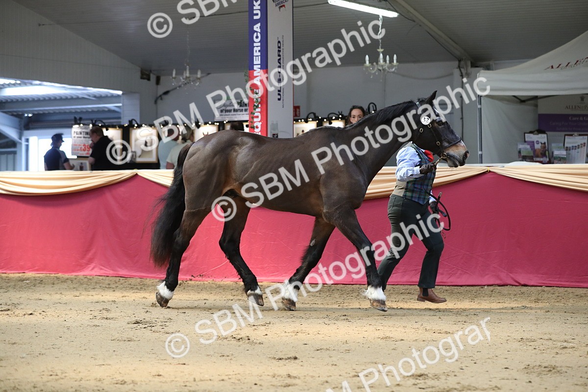 SBM_04325 - Class 7R Regional - IH Diamond