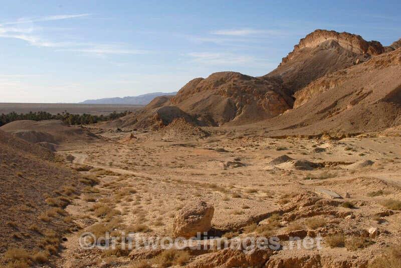 Chebika oasis Saharan Atlas mountains - Tunisia