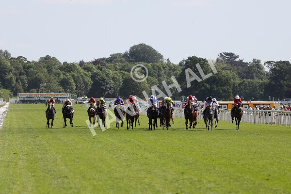 yr12062021r4-7 - Race 4 3.40pm The Pavers Foundation Catherine Memorial Sprint Stakes
